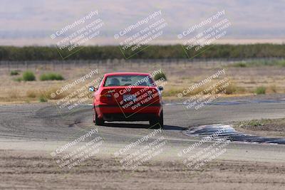 media/Oct-04-2025-OnGrid (Sat) [[44bd565ffa]]/Purple Group/Grapevine/